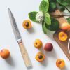 Qulajoy Nakiri Knife 6.9 Inch, Professional Vegetable Knife Japanese Kitchen Knives 67-Layers Damascus Chef Knife, Cooking Knife For Home Outdoor With