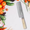 Qulajoy Nakiri Knife 6.9 Inch, Professional Vegetable Knife Japanese Kitchen Knives 67-Layers Damascus Chef Knife, Cooking Knife For Home Outdoor With