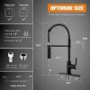 APPASO Commercial Kitchen Faucet Pull Down Sprayer with Soap Dispenser - Stainless Steel High Arc Tall Modern Single Handle Spring Kitchen Sink Faucet